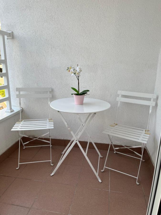 Studio Ana Belville Belgrad Exteriör bild